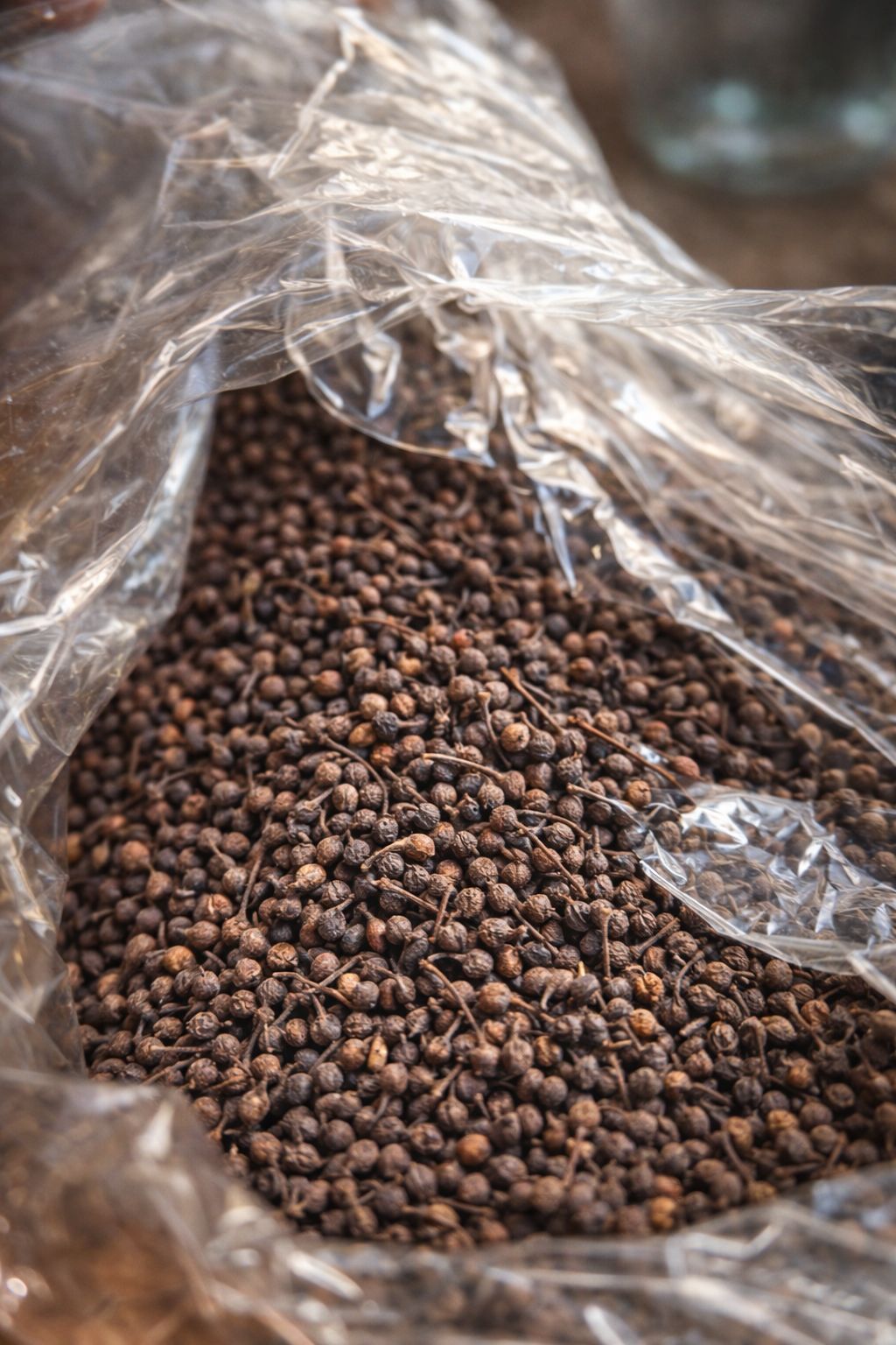 Poivre Sauvage de Madagascar – Voatsiperifery Gourmet plusieurs format